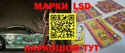 сатива Ставрополь