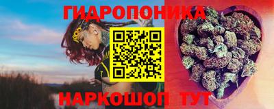 сатива Ставрополь