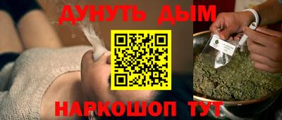 сатива Ставрополь
