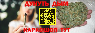 сатива Ставрополь