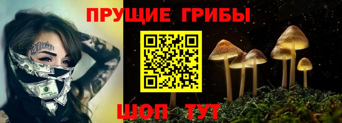 Галлюциногенные грибы прущие грибы Октябрьский